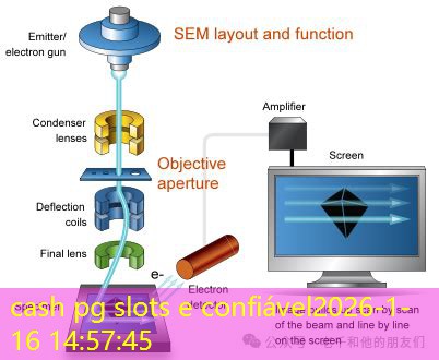 cash pg slots e confiável